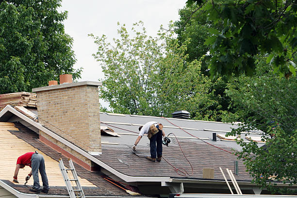 Roof Gutter Cleaning in Maywood, IL