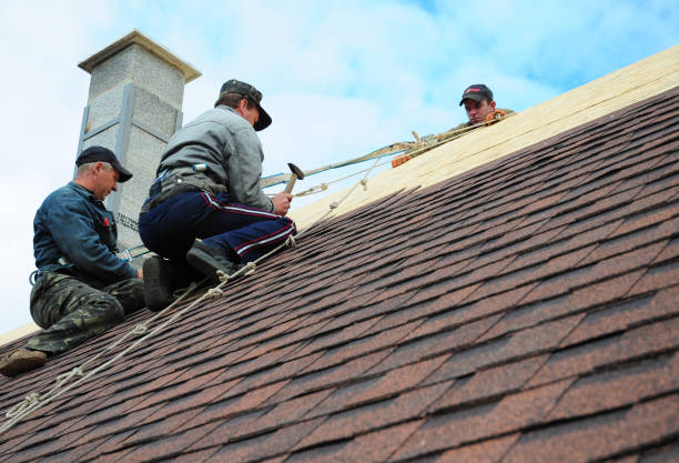 Best Storm Damage Roof Repair  in Maywood, IL
