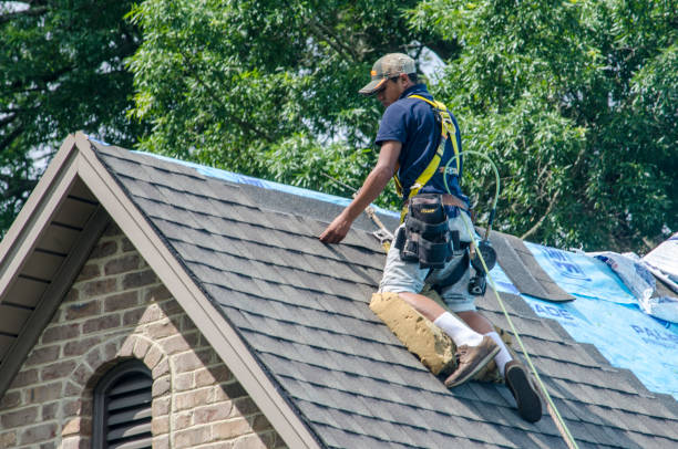 Quick and Trustworthy Emergency Roof Repair Services in Maywood, IL
