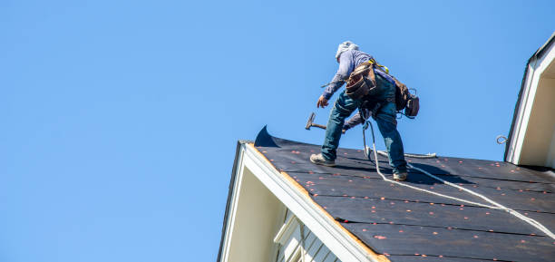 Best Flat Roof Repair Services  in Maywood, IL